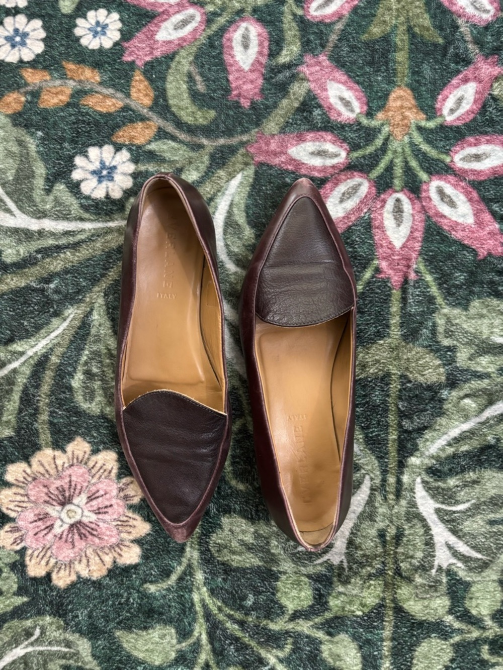 Everlane Women’s Modern Point Loafer